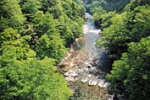 清流「板取川」の写真