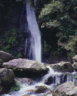 八滝の写真