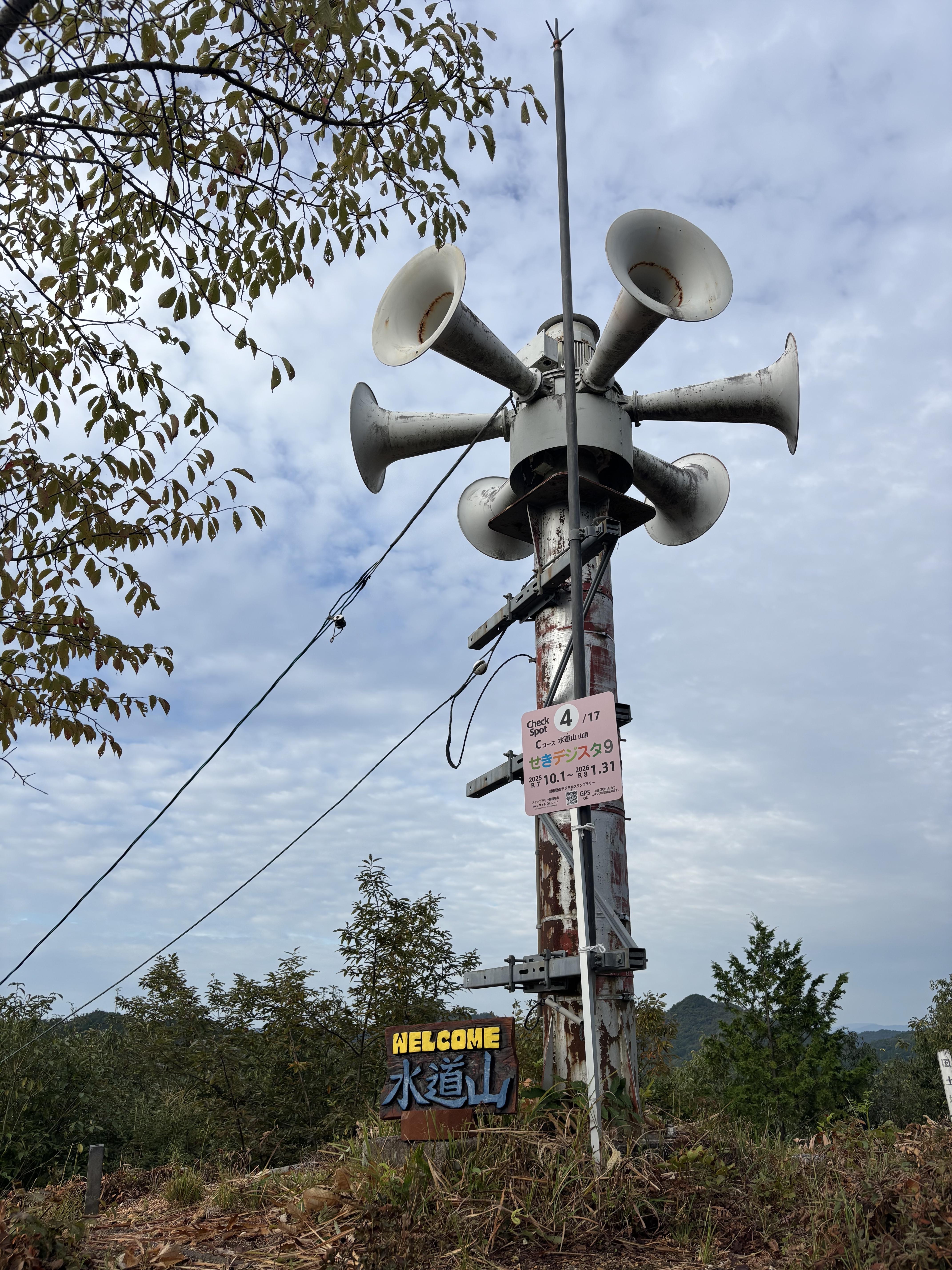 頂上チェックスポット