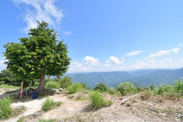 山頂