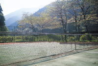 テニス体操の写真