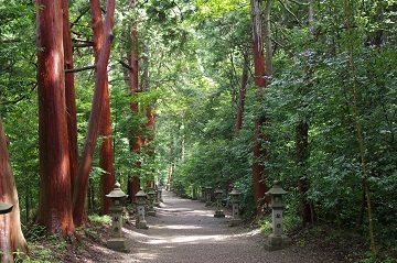 参道の写真